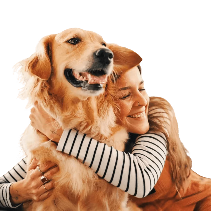 Adopt Dont Shop - Home - image