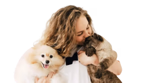 Adopt Dont Shop - Hero Image