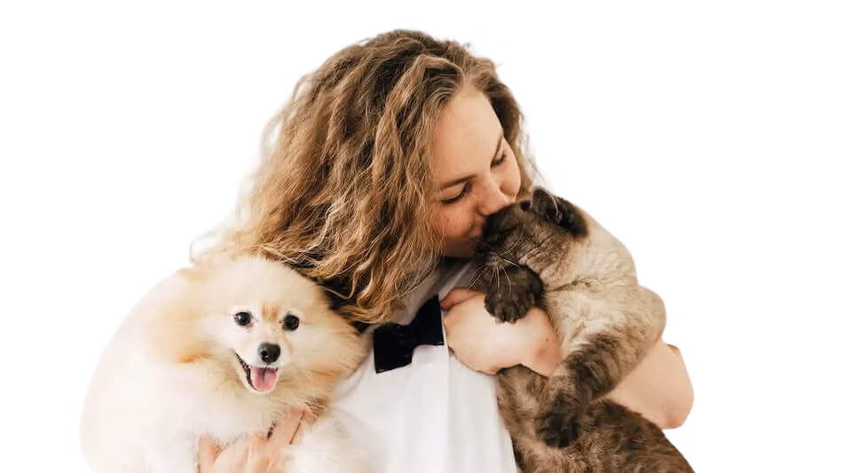 Adopt Dont Shop - Hero Image